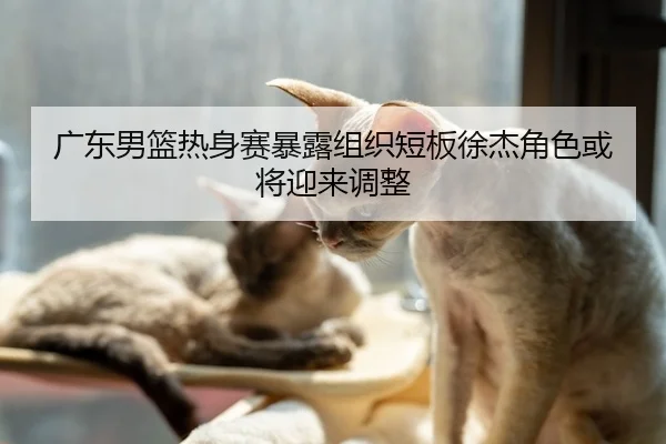 广东男篮热身赛暴露组织短板徐杰角色或将迎来调整