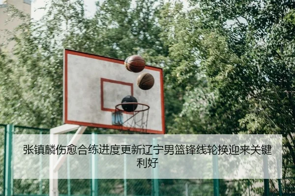 张镇麟伤愈合练进度更新辽宁男篮锋线轮换迎来关键利好