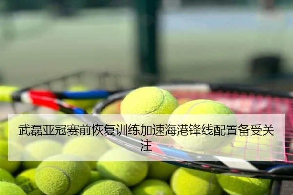 武磊亚冠赛前恢复训练加速海港锋线配置备受关注